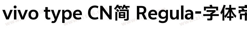 vivo type CN简 Regula字体转换